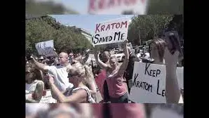 Advocacy in Action: Holly's Stand for Kratom Legality at the Washington DC Rally on September 13th, 2016.