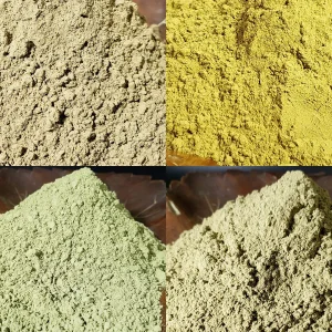 Four Kratom Phenotypes: Varied Types of Kratom Powder Presented in Wooden Bowls.