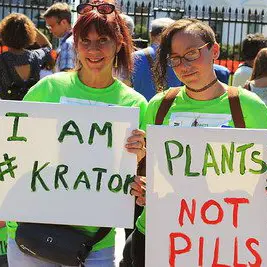 Grassroots Movement: 'Plants Not Pills' and 'I Am Kratom' Signs at the Washington DC Rally, September 13, 2016.