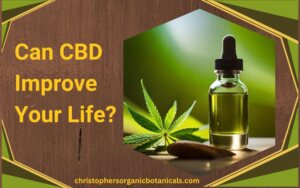 Unlocking the Potential: Exploring the Benefits of CBD.