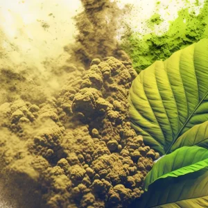 Exploring Excellence: Acadia Canna & Kratom Vendor Review.
