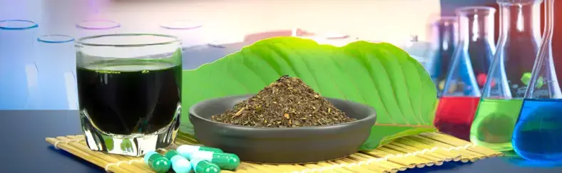 Exploring the Efficacy of Microdosing Kratom: Insights and Outcomes.