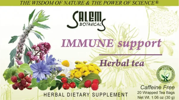 20-Count Box of Immune Support Tea Bags from Salem Botanicals.