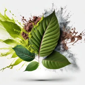 Discovering Kats Botanicals: In-Depth Kratom Vendor Review.
