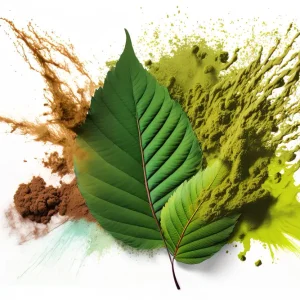 Exploring Kratom Country: Comprehensive Vendor Review.
