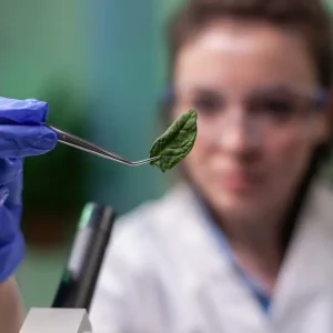 What We've Learned About Kratom Alkaloids Testing: Understanding Its Importance.