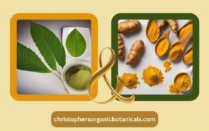 Exploring the Benefits of Kratom and Turmeric Combination: Enhancing Wellness Naturally.