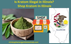 Kratom's legal status in Illinois: Insights and where to shop for kratom.