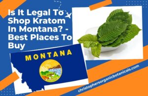 Is It Legal to Shop Kratom in Montana - Best Places to Buy.