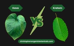 Kava Vs Kratom