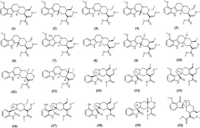 Close-up of kratom powder and leaves with molecular structures symbolizing natural alkaloids like mitragynine.